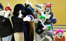 The furry team